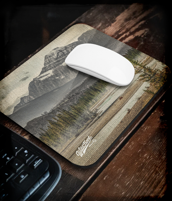 COMPUTER ACCESSORIES