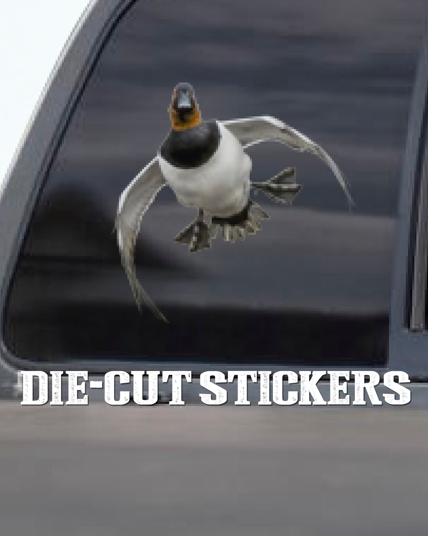 DIE-CUT STICKERS AND MAGNETS