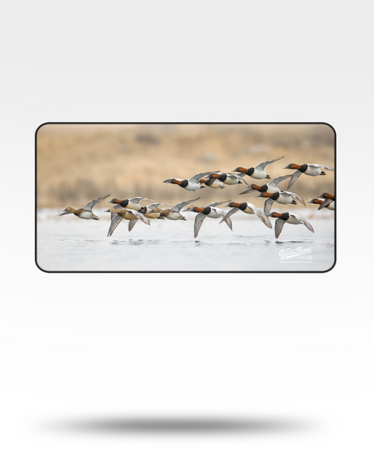 Canvasbacks Flying Desk Mat