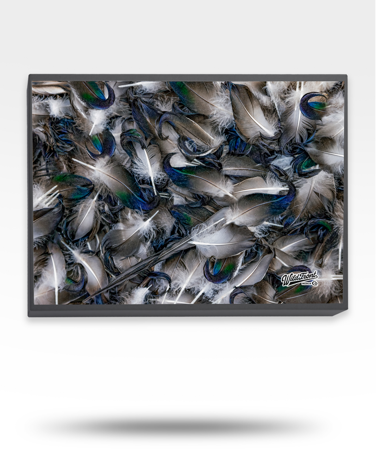 Mallard Curls Jigsaw Puzzle (500 Piece)